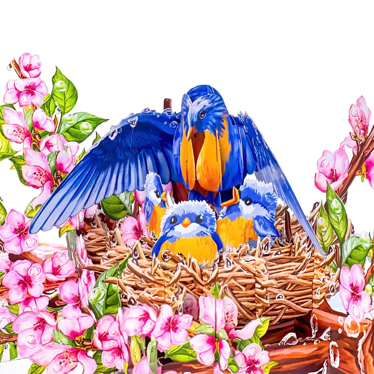 Mother Bird Pop Up Card 3D Bluebird Nest with Baby Birds and Pink Blossoms Heartwarming Mother's Day, Birthday, Thank You Greeting Card for Mom, Grandma, Wife, Her, Nature Lovers